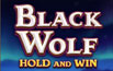 Black Wolf Hold and Win