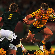Australian Rugby Sports Betting