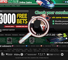 Casino Mate Home Page