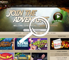 Hippozino Casino Home Page