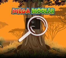 Mega Moolah Pokie Loading Screen