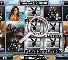 Playboy Pokie Beach Mode