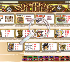 Western Wilderness pokie Paytable Screen