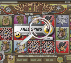 Western Wilderness Pokie Free Games Screen